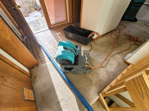 Best Flood damage cleanup  in Bellefonte, PA