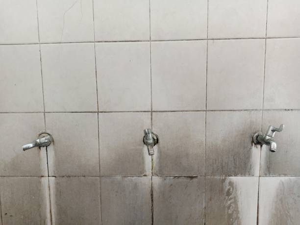 Best Flooded house restoration  in Bellefonte, PA
