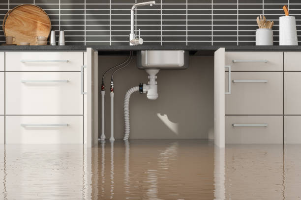 Best Water damage restoration near me  in Bellefonte, PA